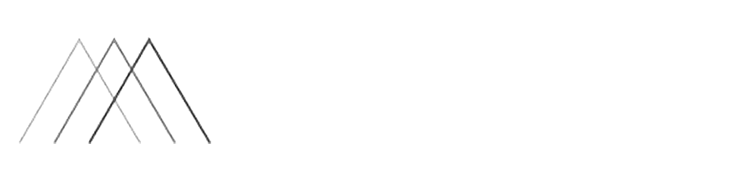 Millennio Group